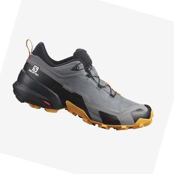 Salomon CROSS HIKE GORE-TEX Turisticke Topanky Panske Siva | SK 2017TCE